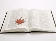 开拓者再胜活塞，稳居西部前四