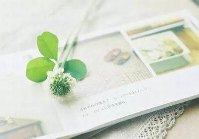 开拓者再胜活塞，稳居西部前四