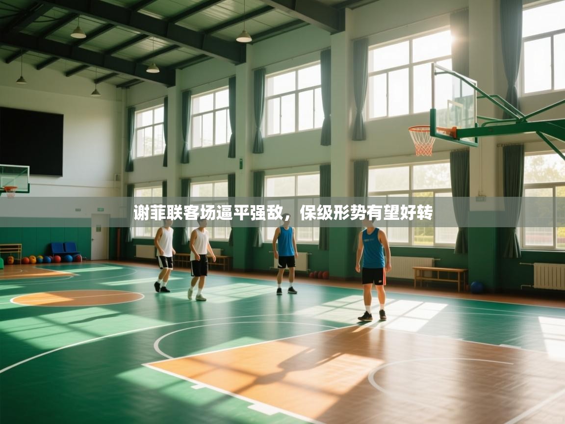 谢菲联客场逼平强敌，保级形势有望好转  第2张