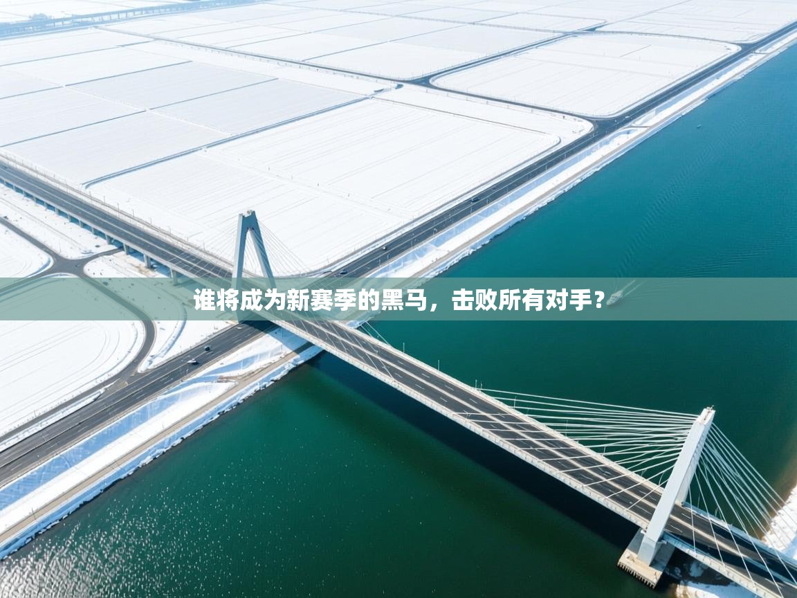谁将成为新赛季的黑马，击败所有对手？