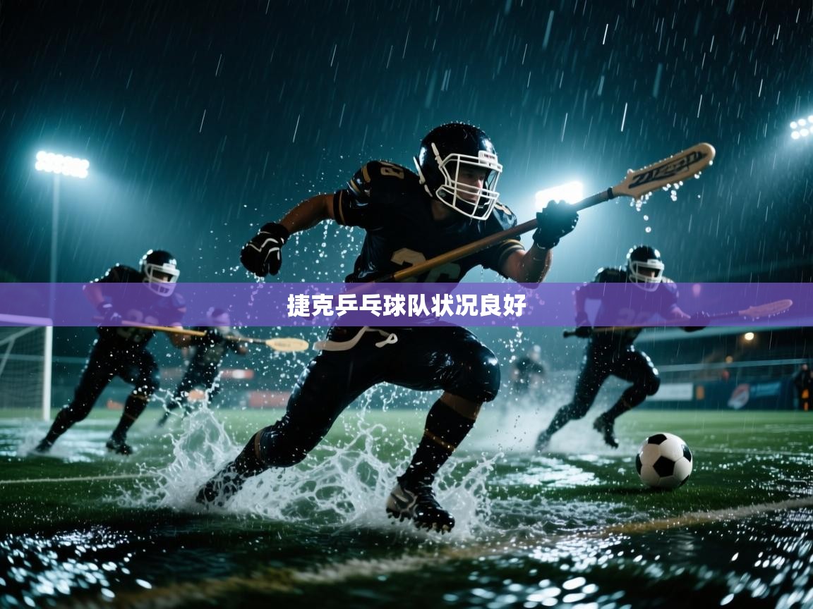 捷克乒乓球队状况良好  第2张